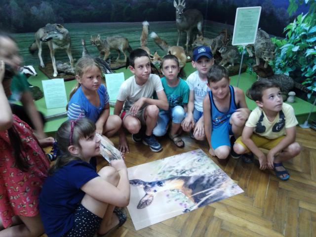 foto 18 06 2019 14 52 4