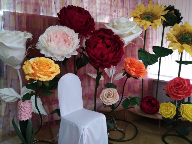 foto 19 04 2019 14 34 4